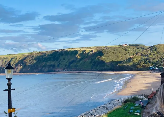 Idlewild 度假居 Hinderwell